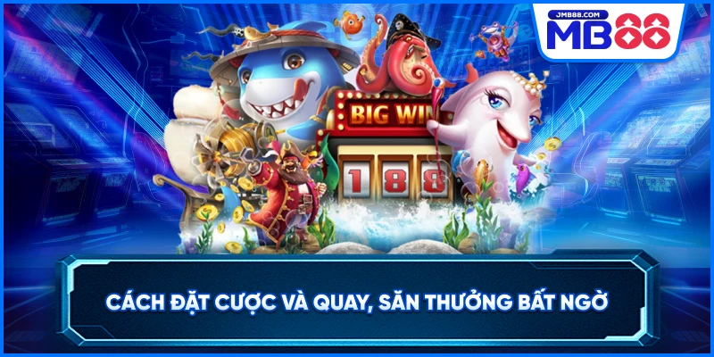 Cách đặt cược và quay, săn thưởng bất ngờ