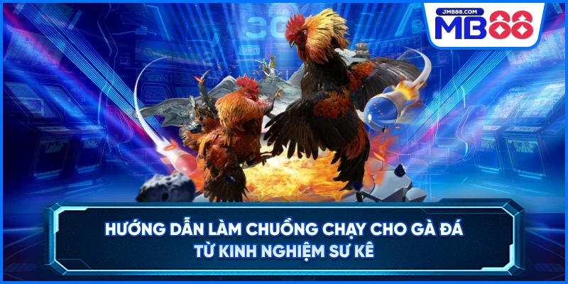 Hướng Dẫn Làm Chuồng Chạy Cho Gà Đá Từ Kinh Nghiệm Sư Kê